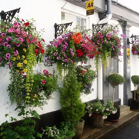 Cherubs Nest Dartmouth Exterior photo